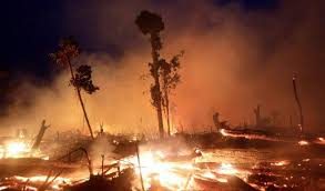 Con l’amazzonia brucia il nostro futuro!